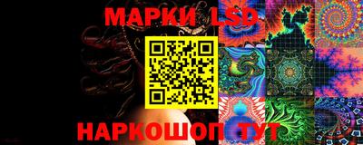 гашик Сланцы