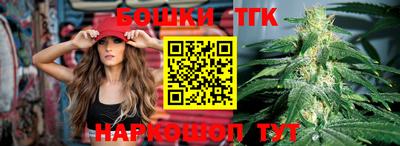 гашик Сланцы