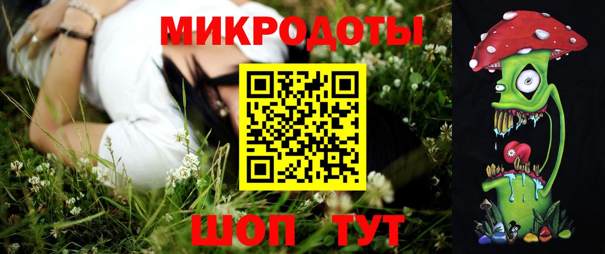 Галлюциногенные грибы Psilocybine cubensis Новочеркасск